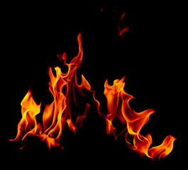 Flame of fire on a black background