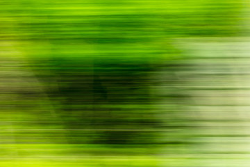 Nature in motion from the train window