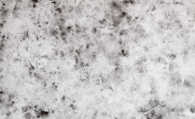 White snowflakes on nature as a background