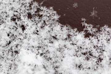 White snowflakes on nature as a background