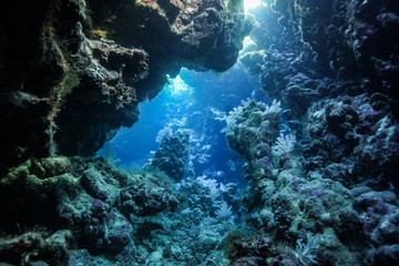 Fototapeta na wymiar Caves of Claudia Reef at the Red Sea, Egypt