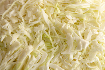 Sliced cabbage on the table as background