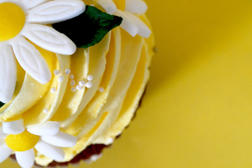 flower on white background