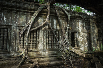 Beng Mealea ruins over grown