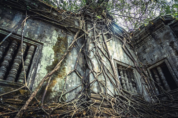 Beng Mealea ruins over grown