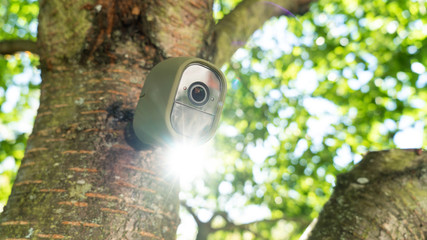 Security Camera mounted in a tree