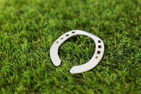 good luck and fortune concept - horseshoe on artificial grass - Powered by Adobe