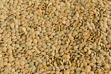 green lentils, natural lentil background, healthy food
