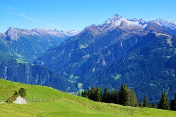 Fototapeta na wymiar Berge in Zillertal in Österreich 