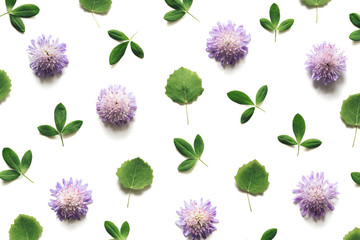 Naklejka premium Purple Meadow Flowers And Green Leaves On White Background