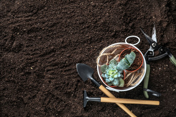 Set of gardening tools with plants in pots on soil