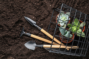 Set of gardening tools with plants in pots on soil