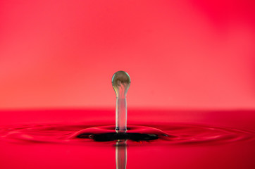 water-milk drop
