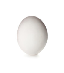 Raw chicken egg on white background