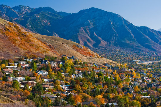 Hillside Suburban Homes