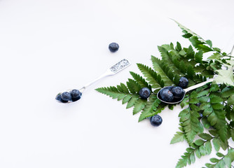 Blueberries with fern leaves and