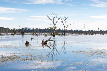 Fototapeta premium baray at the Neak Pean temple, Siem Reap, Cambodia, Asia