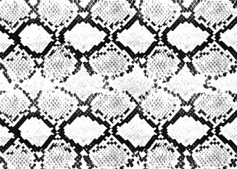 Snake skin background pattern