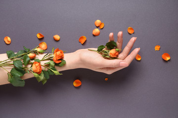 Female hand with rose flowers on grey background