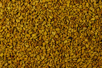 Background of the fenugreek seeds