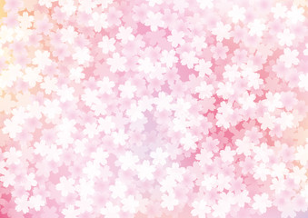 桜　花　和風　満開　背景　グラデーション　ピンク