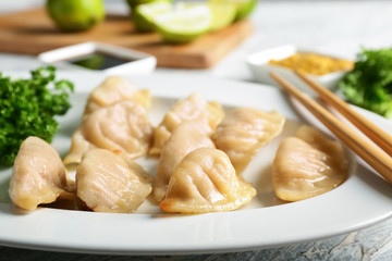 Tasty Japanese gyoza on plate, closeup