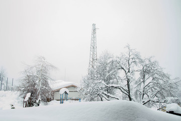 Single snow covered tree in winter mountain scene, small building, winter resort Smolyan, Bulgaria, Rhodope Mountains. Beautiful mountain landscape, unique nature