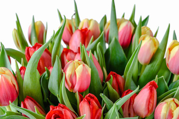 Beautiful spring tulips, bouquet of flowers, mother's day background or women's day card