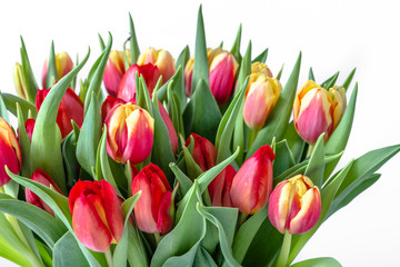 Colorful bouquet of tulip on white background. Mother day flowers bunch.