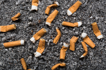 Cigarette butts