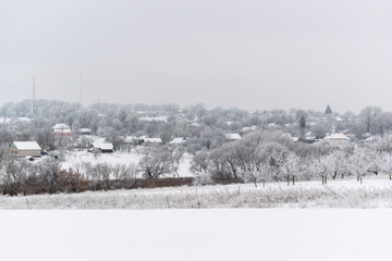 Fototapeta premium Winter snow trees, New Year's mood. copy space.
