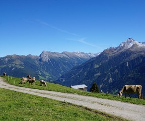 Zillertal in Österreich am Finkenberg