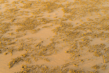 Beautiful sea mornings24