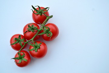 tomatoes on  a blue background