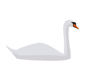 Swan icon on white background, vector eps 10