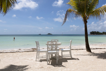 Tropical landscape at Praslin island, Seychelles