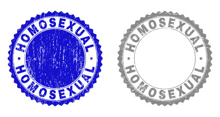 Grunge HOMOSEXUAL stamp seals isolated on a white background. Rosette seals with grunge texture in blue and gray colors. Vector rubber watermark of HOMOSEXUAL label inside round rosette.