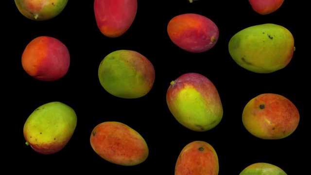 Realistic render of falling sindhoora mangoes on black background. The video is seamlessly looping, and the objects are 3D scanned from real mangoes.