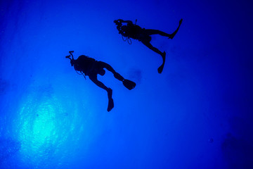 Diving the Red Sea, Egypt