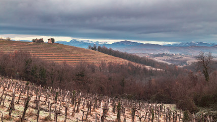 Naklejka premium Cold misty morning in the vineyards of Italy
