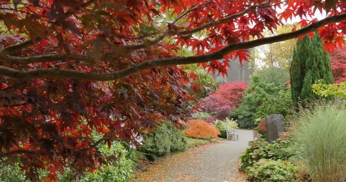 Autumn Leaves, & Church, Grasser, Cumbria, England, United Kingdom, Europe  