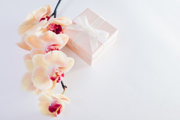 Gift box with orchid on white background. Present for Valentine's day