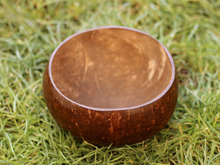 bowl of coconut on the grass