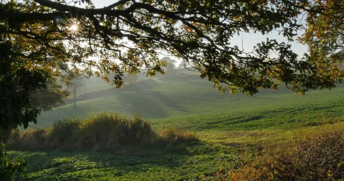 Autumn colors near Hardwick Park, Derbyshire, England, United Kingdom, Europe  