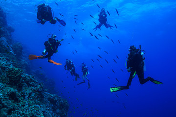 Diving the Red Sea, Egypt