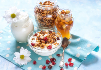 Natural yoghurt with granola nuts and dried fruits. natural healthy food.