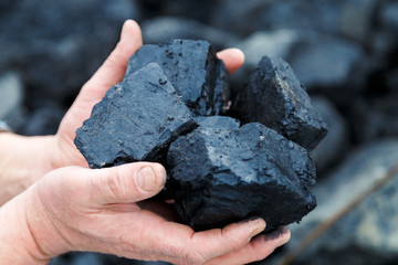 A man holds in his hands coal. The concept of coal mining, coal processing, energy, environmental protection.