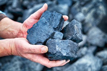 A man holds in his hands coal. The concept of coal mining, coal processing, energy, environmental protection.