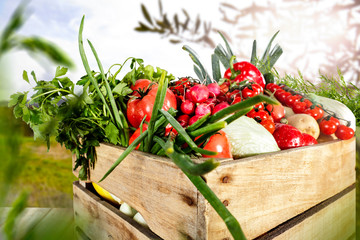 Vegetables in the basket box  chest on the wooden table background