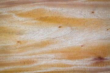 Close-up large hardwood plank with detail, texture and pattern of skin wood nature background, brown color wood plank with empty for put text or anything